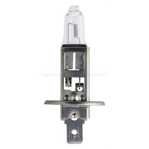 Lâmpada de Halogêneo H1 - Philips 0917528